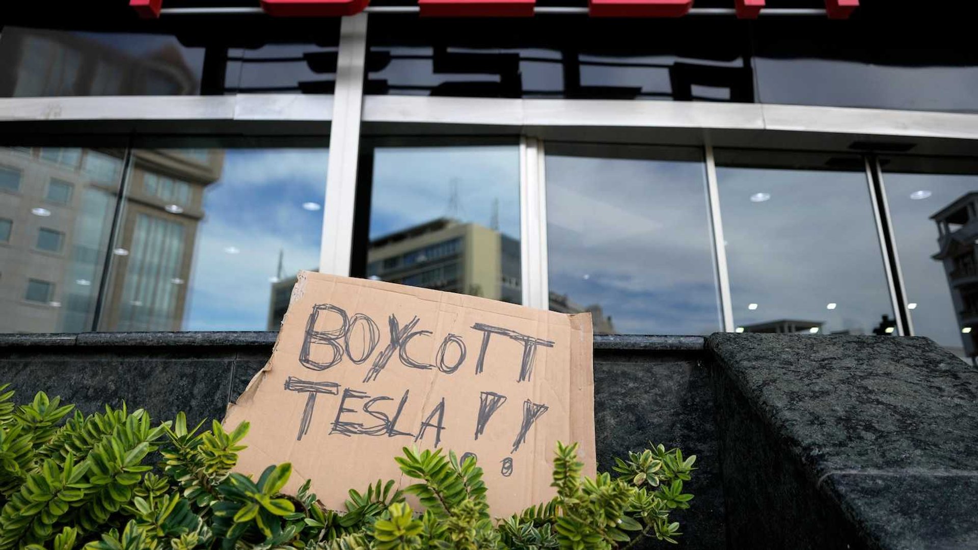 Tesla Stock Crisis: Musk's Trump Ties Trigger Sales Collapse and Protests