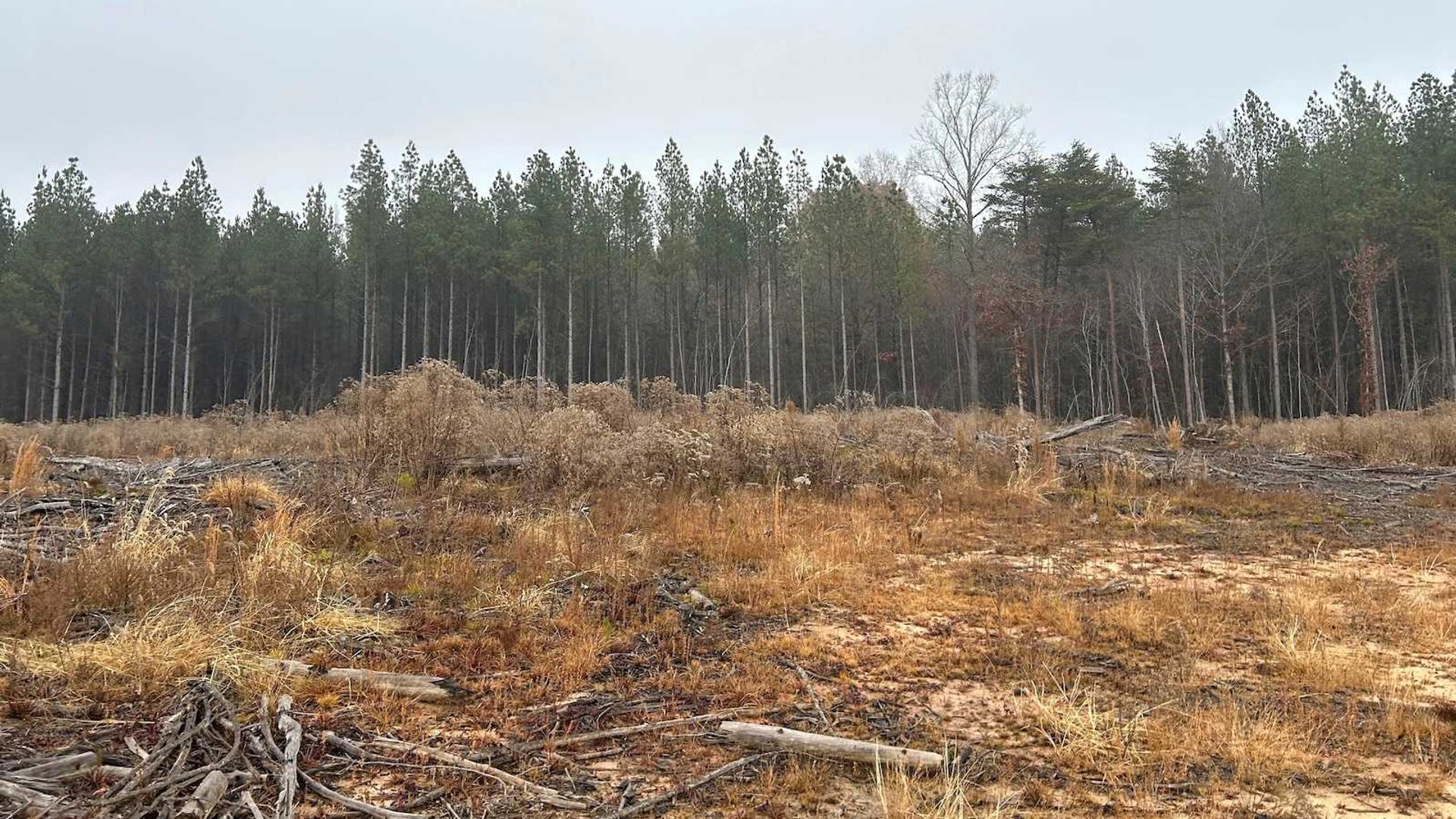 Descendants Divided as Historic African American Graves Relocated for Virginia Industrial Park
