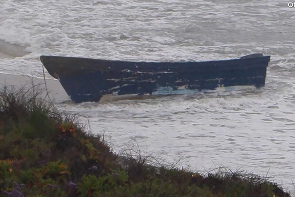 San Diego Maritime Tragedy: Panga Boat Capsizes Leaving 3 Dead, 9 Missing