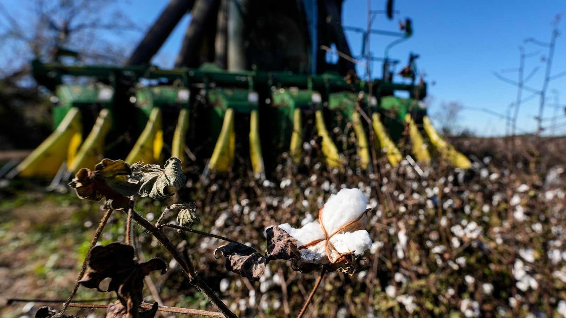 Federal Helene Aid Delays Threaten Farmers as Georgia Approves $300M Tax Relief