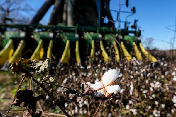 Federal Helene Aid Delays Threaten Farmers as Georgia Approves $300M Tax Relief