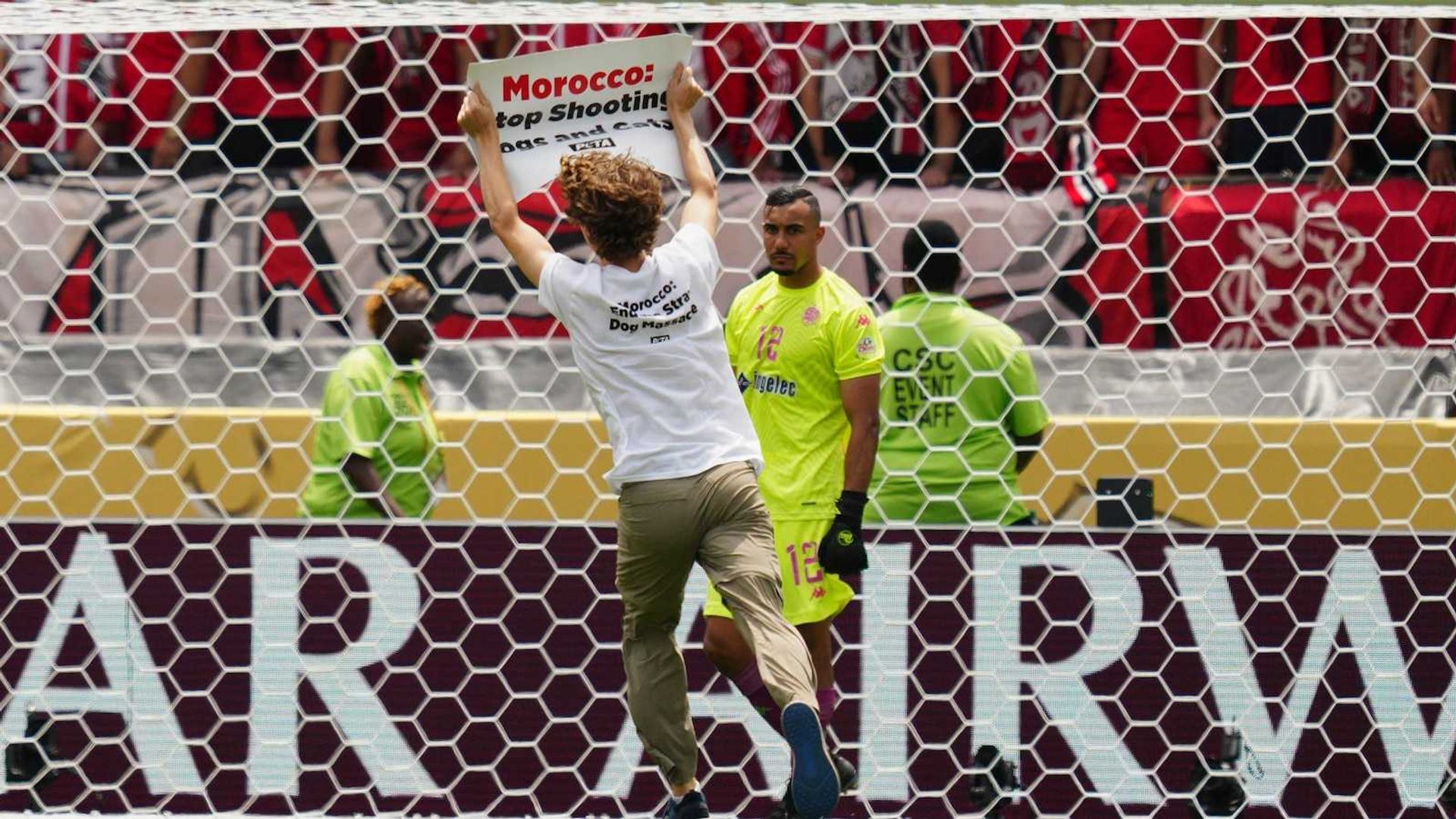 Animal Rights Protester Disrupts World Cup Match Demanding Morocco Policy Reform