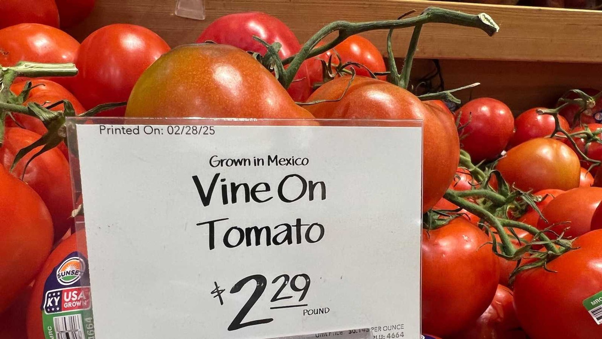 U.S. Slaps 21% Tax on Mexican Tomatoes: Farmers Cheer, Restaurants Fear Price Hikes