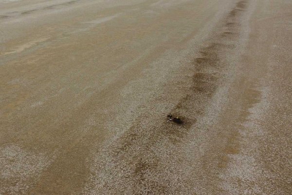 Uncovered: Ancient Slave Labor System Revealed in Southern Iraqi Floodplains